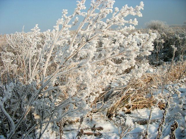 DSCF7753.JPG