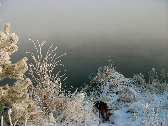 DSCF7730.JPG