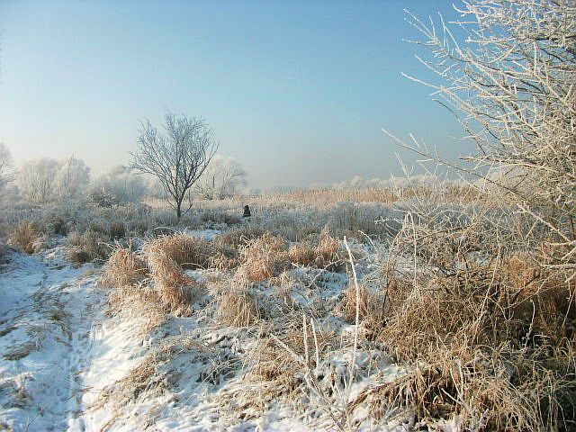 DSCF7752.JPG