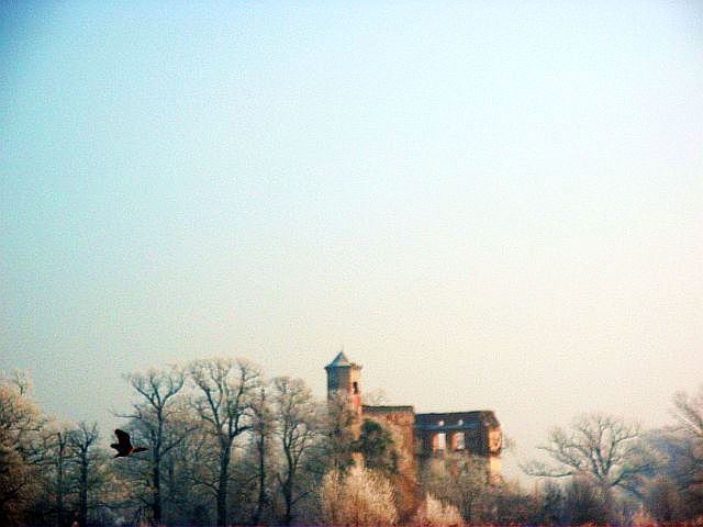 DSCF7737.JPG