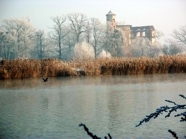 Płochliwe kormorany