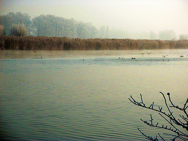 DSCF7733.JPG