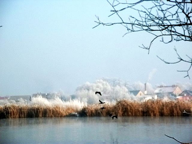 DSCF7736.JPG