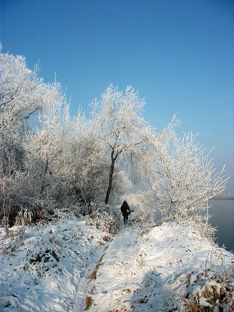 DSCF7743.JPG