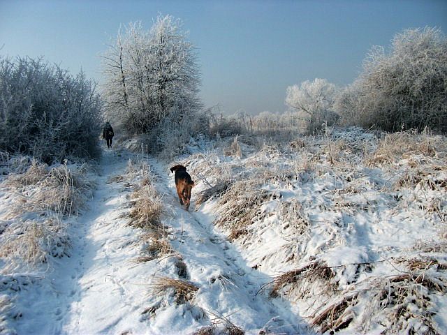 DSCF7748.JPG