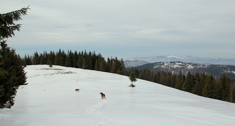IMG_5899.JPG