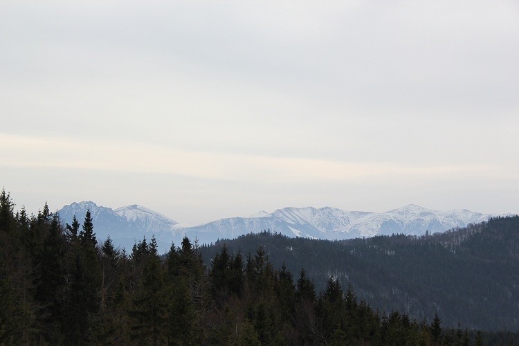 IMG_5928.JPG