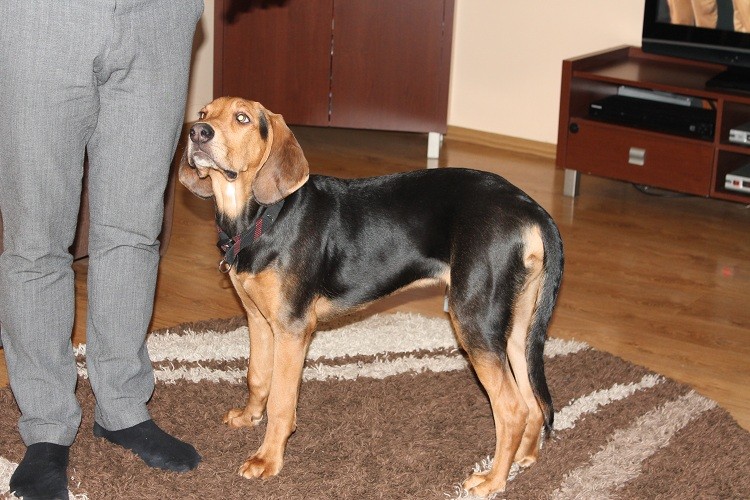 Azja 018.jpg