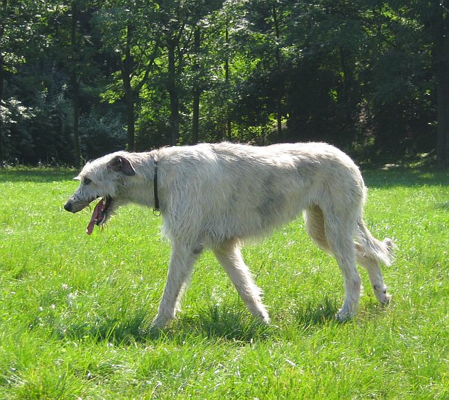 Irenka :)