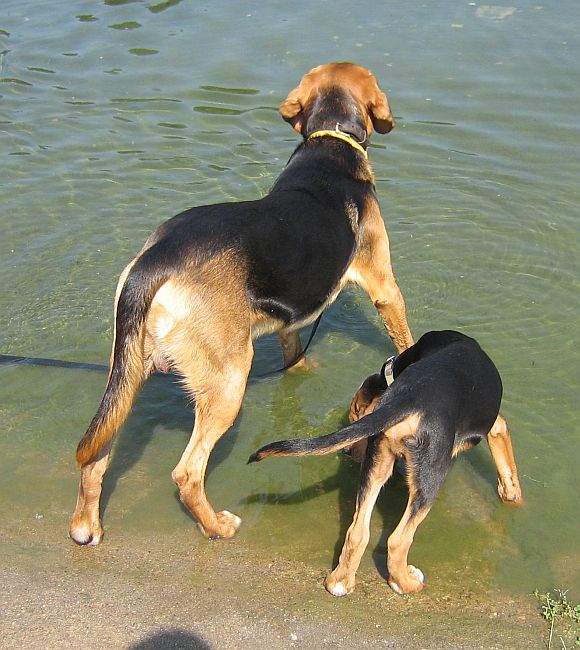 Rudolf&Urwis.jpg