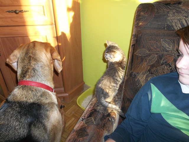 100_1494.JPG