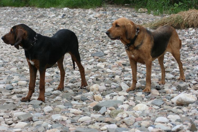 to chyba nie nasza rzeka?