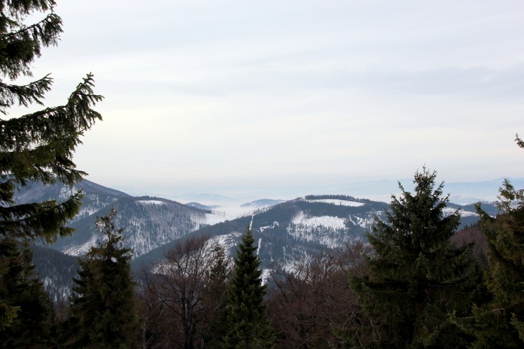 IMG_5874.jpg