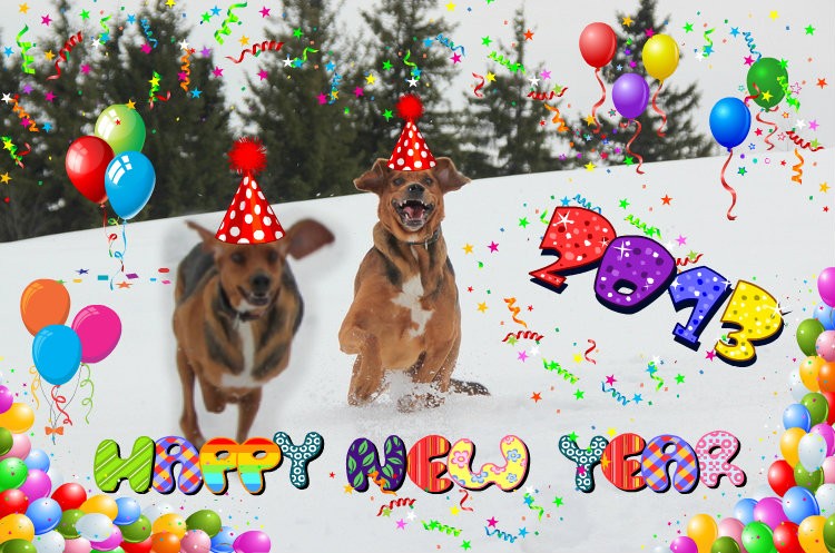pizap.com13569760176561.jpg