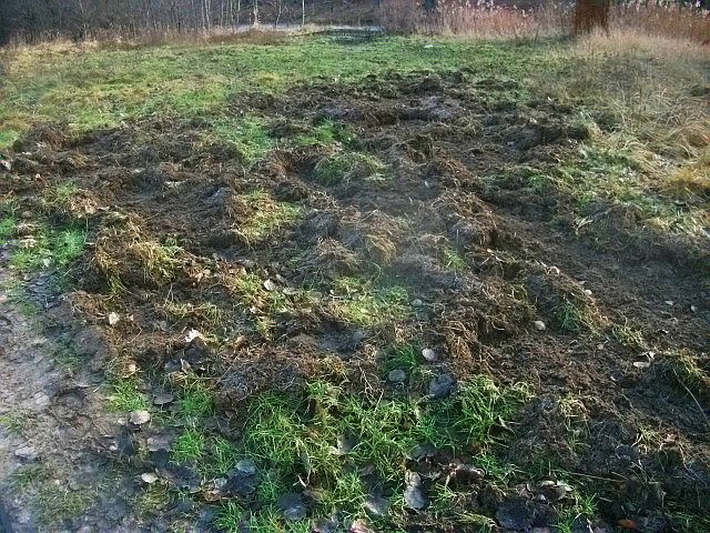 Na zrytej ziemi