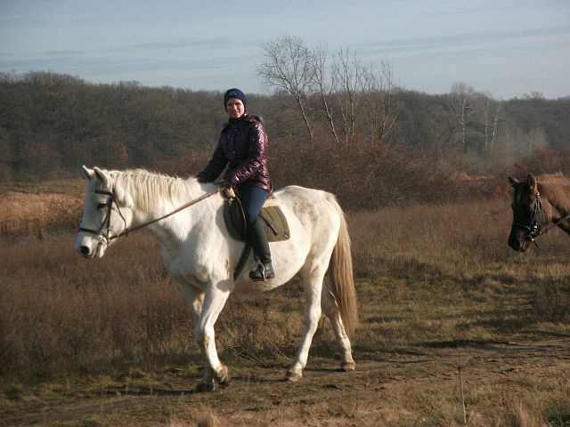 DSCF7818.JPG