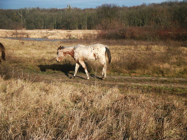 DSCF7824.JPG