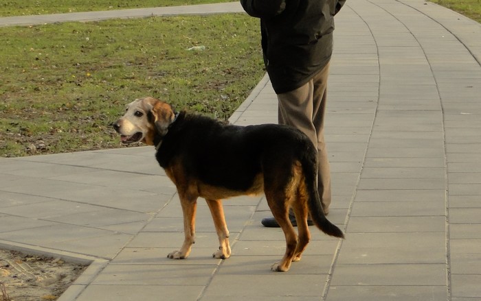 sułtan2.JPG