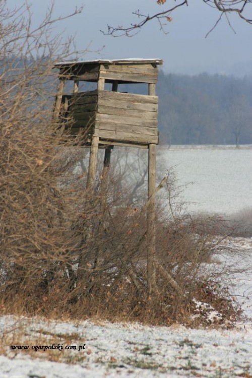 Pamiętam ja była zawsze bardzo wielka.