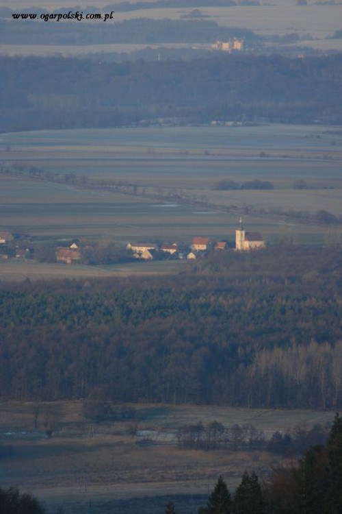Tam jeździmy po jajeczka od szczęśliwych kurek.
