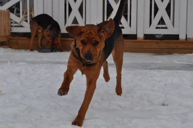 DSC_2030 (640x425).jpg