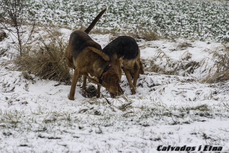 calveciki 01.13 (9 of 61).jpg