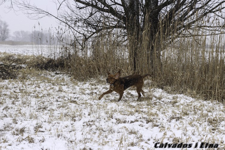 calveciki 01.13 (34 of 61).jpg