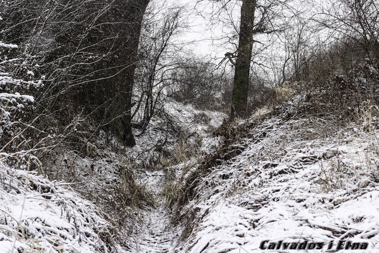 calveciki 01.13 (48 of 61).jpg