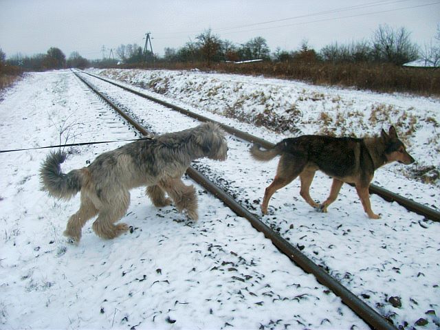 Kolego, zmykaj, bo „wgniotę ciebie w ziemię”.