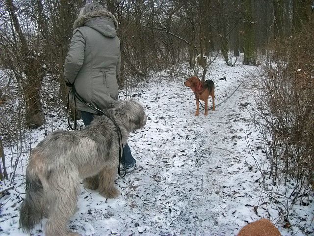No i znowu musiałem się na ciebie natknąć. Wolę nie patrzyć w twoją stronę.