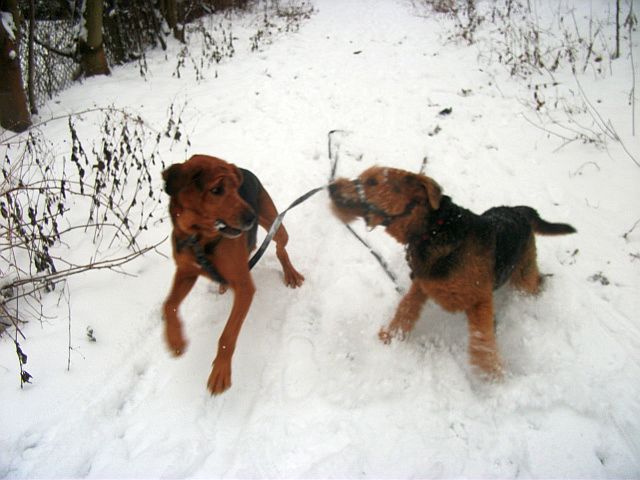 DSCF7926.JPG