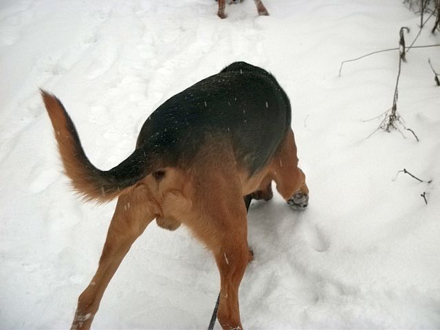 DSCF7913.JPG