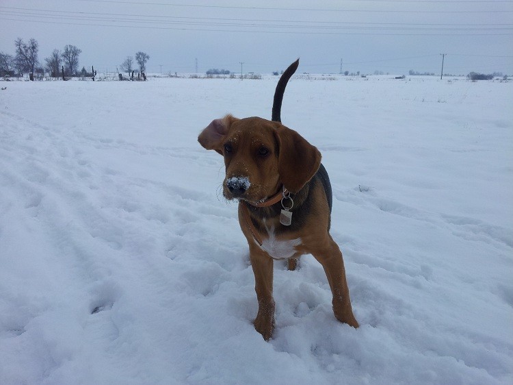 20130113_134129.jpg