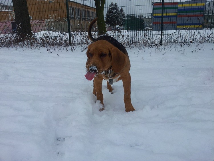20130113_134144.jpg