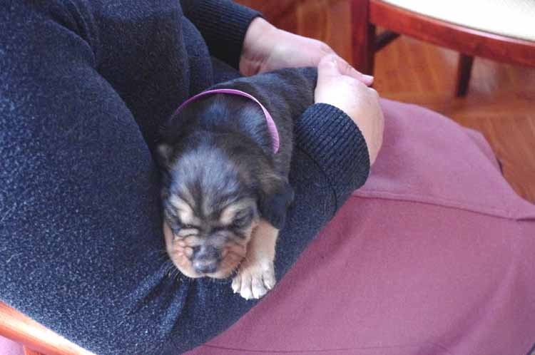 ja uwielbiam u babci, wiem co robię, wiem !.jpg