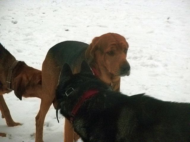 Wzięli mnie w „dwa ognie”