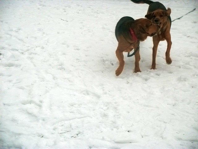 DSCF8023.JPG