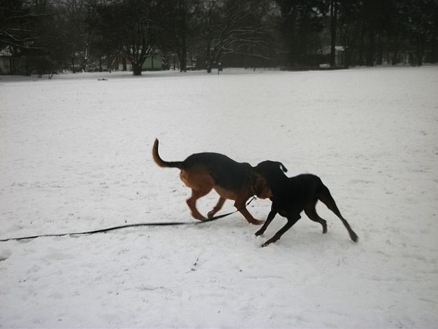DSCF8053.JPG