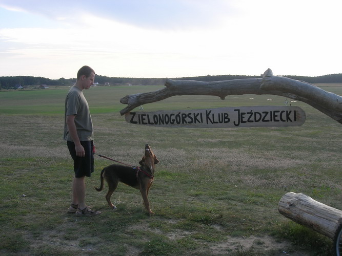 nauka czytania.jpg