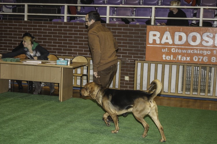 Ruczaj
