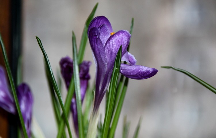 IMG_6311.JPG