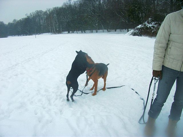 DSCF8138.JPG