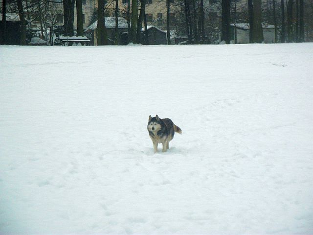 A ta sunia to rywalka dla Neski.