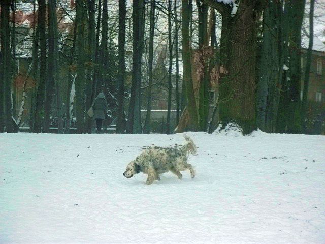 DSCF8124.JPG