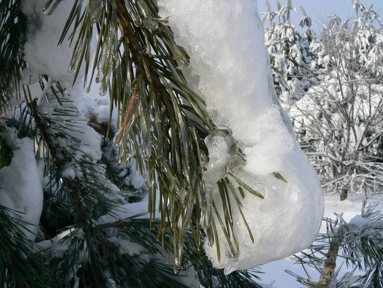 A świat cały był skuty lodem i śniegiem...