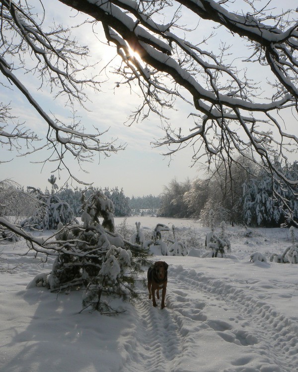 Romantycznie...