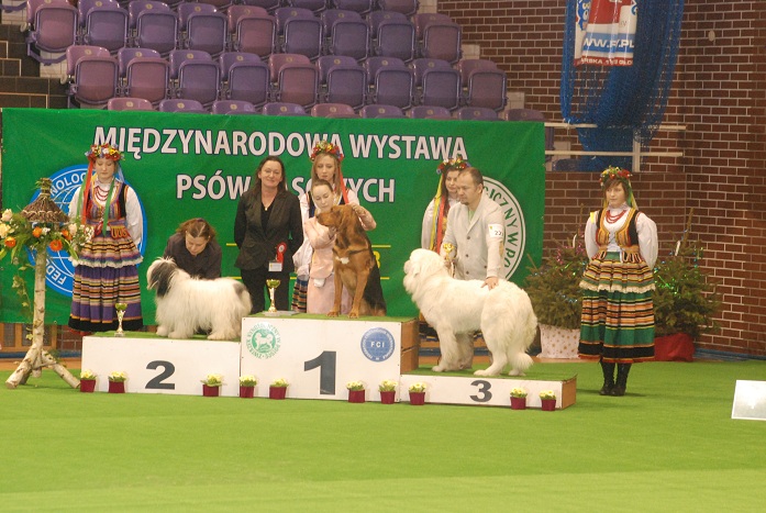 Rasy polskie.