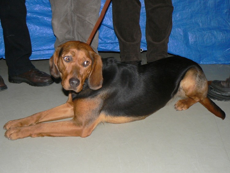 NINA z Łopienia