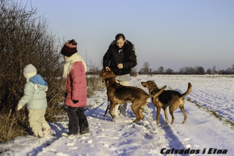 calveciki_luty-11.jpg