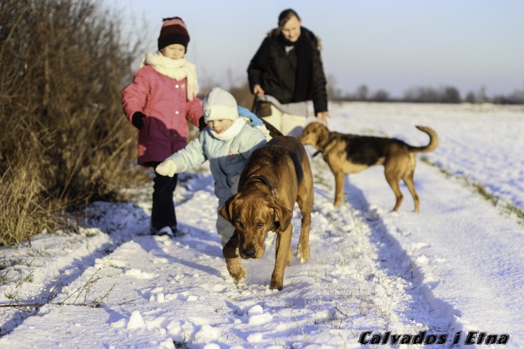 calveciki_luty-14.jpg